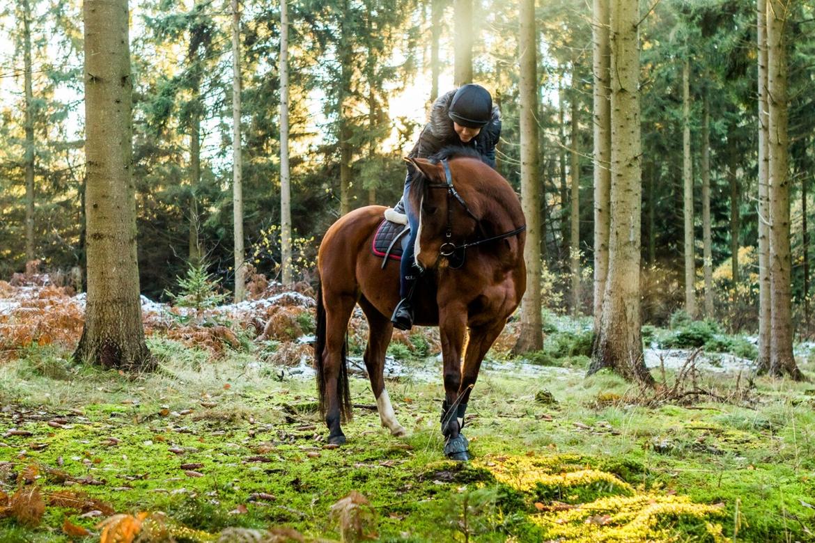 Anden særlig race Princess // P // My one and only billede 2