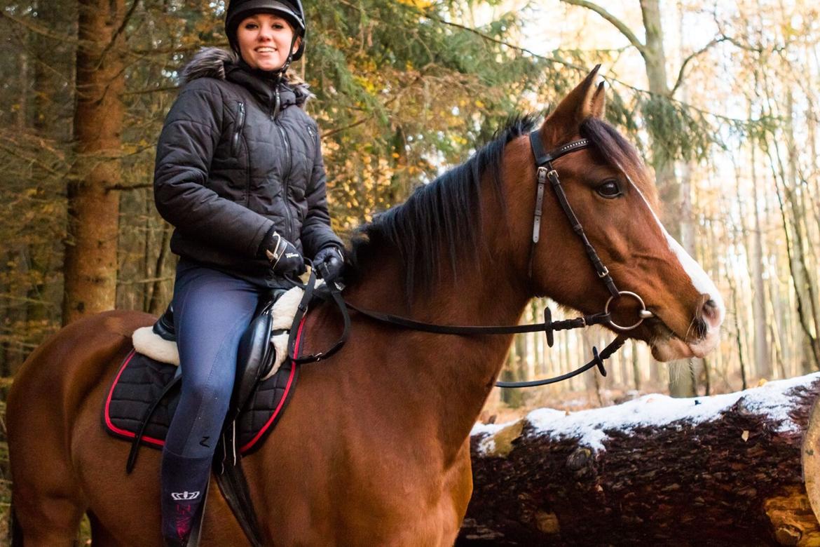 Anden særlig race Princess // P // My one and only billede 17