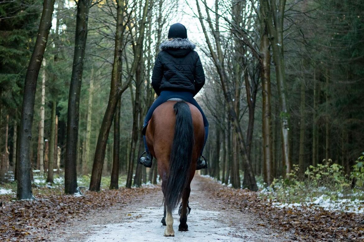 Anden særlig race Princess // P // My one and only - Skal vi lave en kikset "Når enden er god er alting godt" billede 20