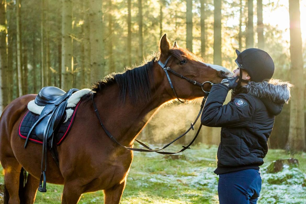 Anden særlig race Princess // P // My one and only billede 4