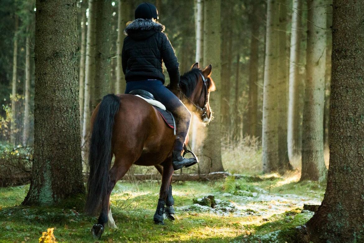 Anden særlig race Princess // P // My one and only billede 15