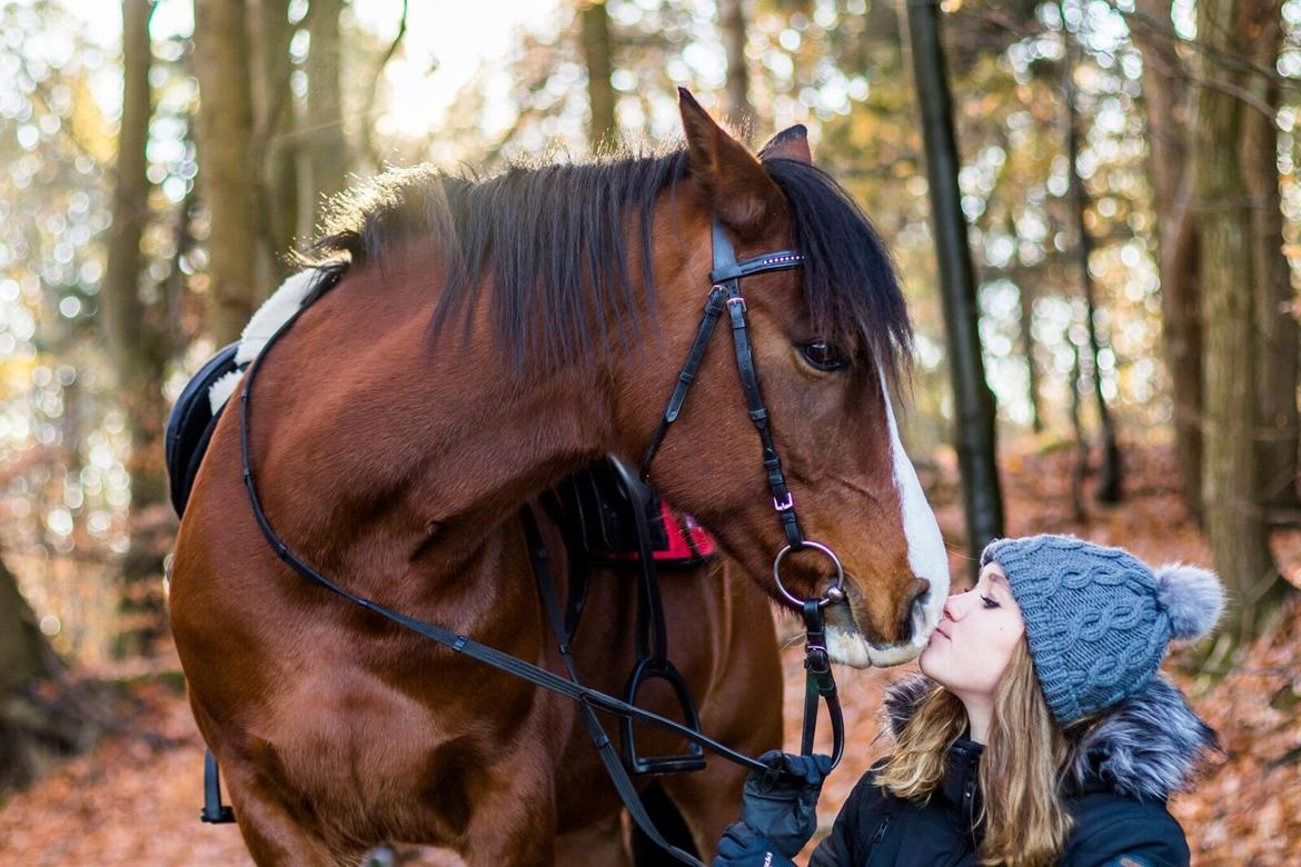 Anden særlig race Princess // P // My one and only billede 13