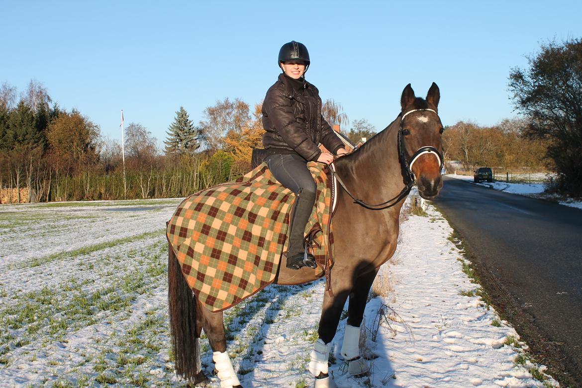 Oldenborg Ayla - November 2016 billede 7