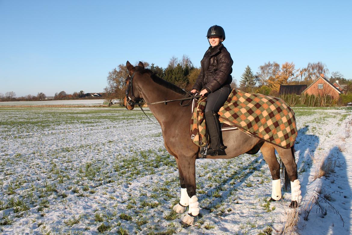 Oldenborg Ayla - November 2016 billede 8