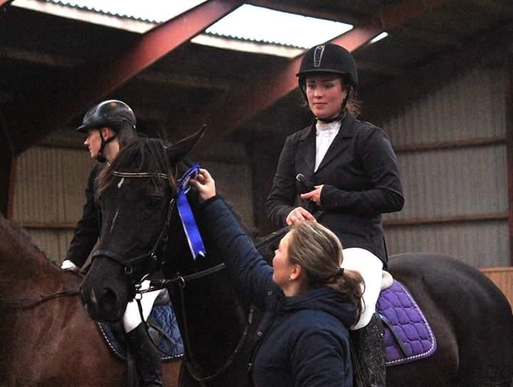 Tysk Varmblod Zafir billede 6