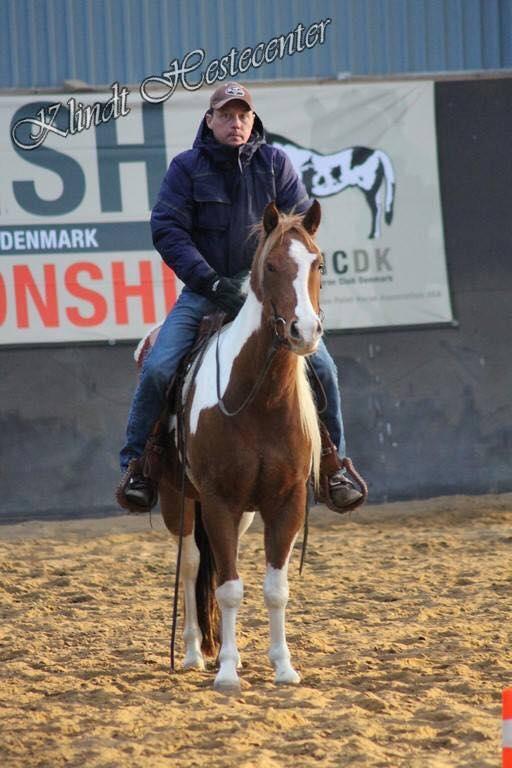 Paint Blue Leo San billede 13