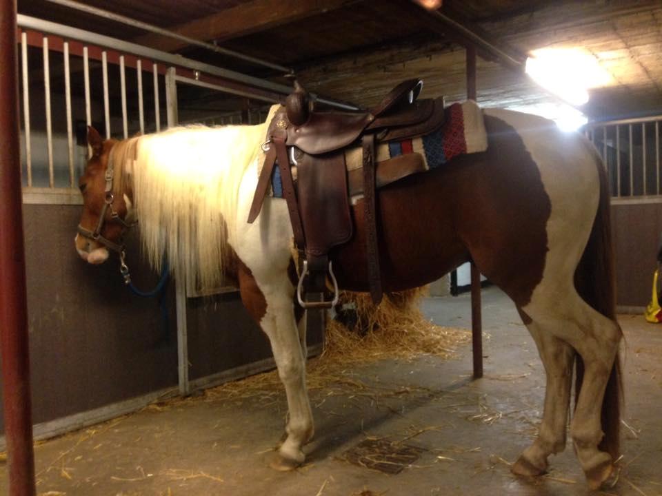 Paint Blue Leo San billede 6