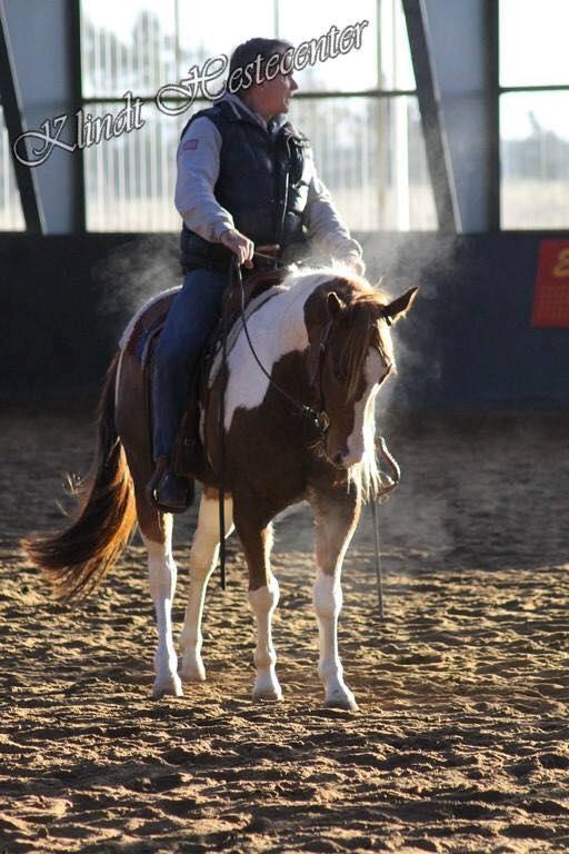 Paint Blue Leo San billede 7