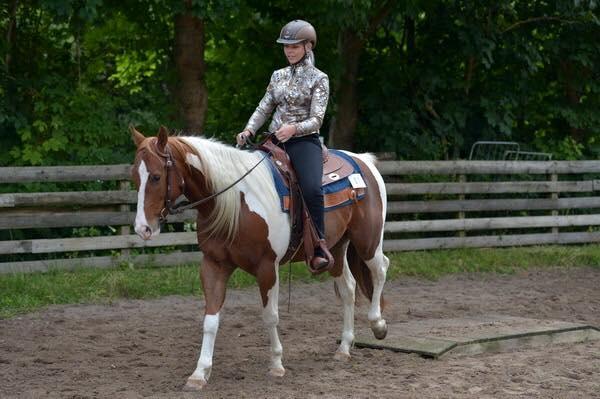 Paint Blue Leo San billede 8