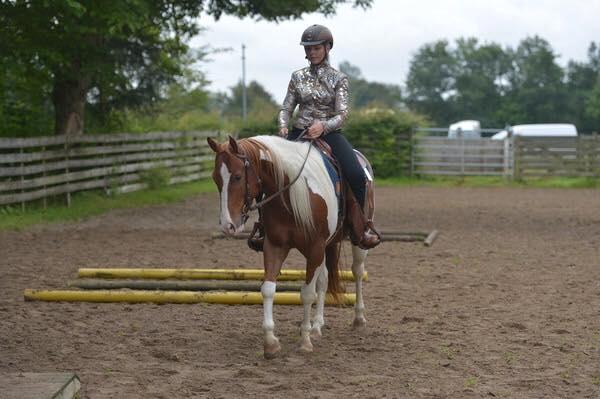 Paint Blue Leo San billede 9