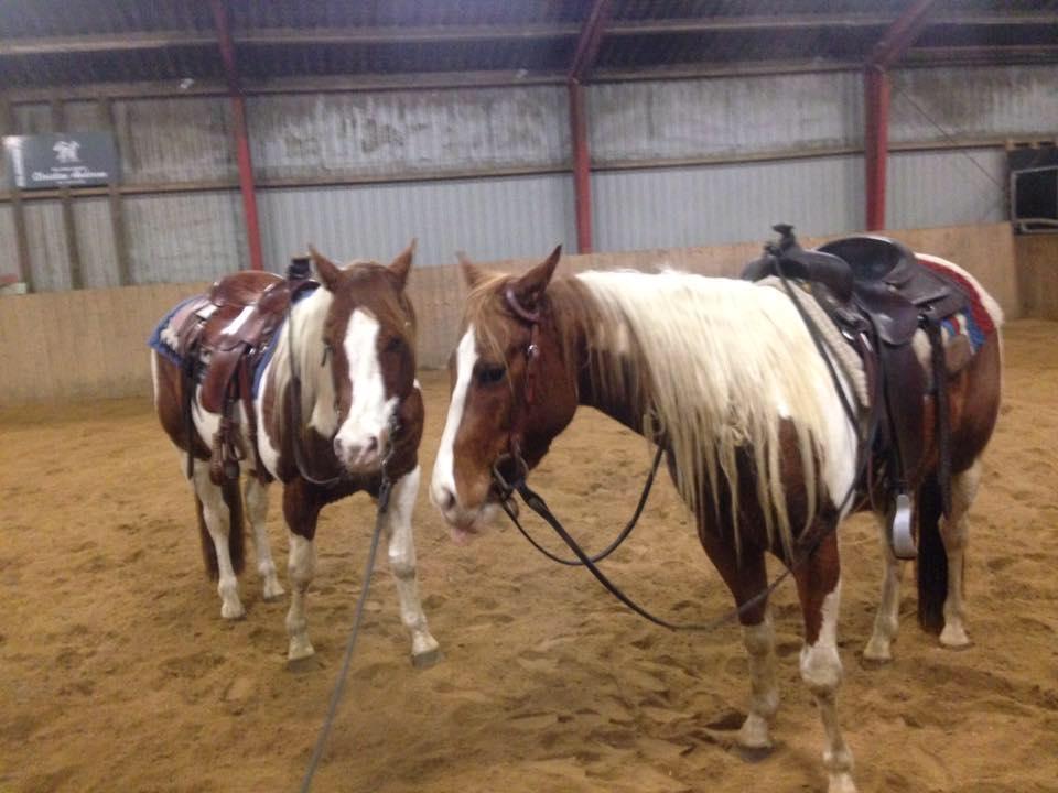 Paint Blue Leo San billede 10