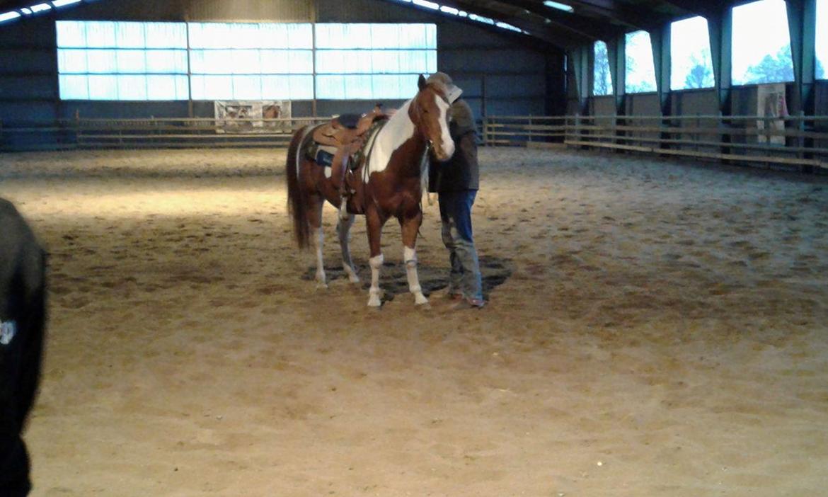 Paint Blue Leo San billede 11