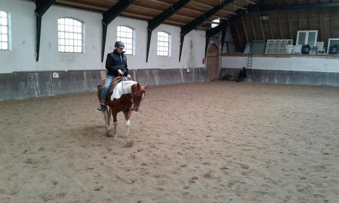 Paint Blue Leo San billede 12