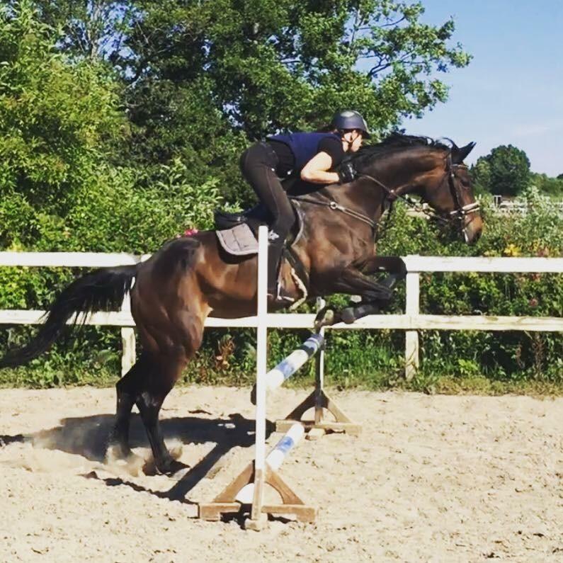 Anden særlig race Nanna Zickora billede 6