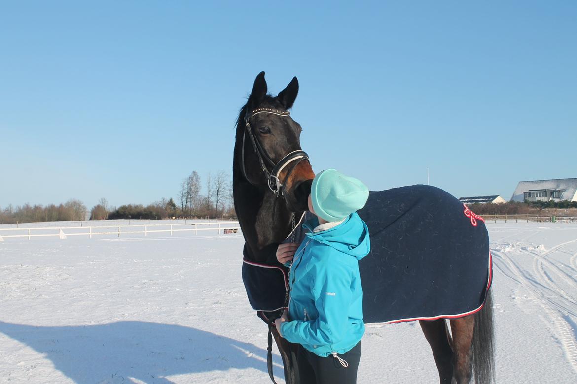Anden særlig race Nanna Zickora billede 7