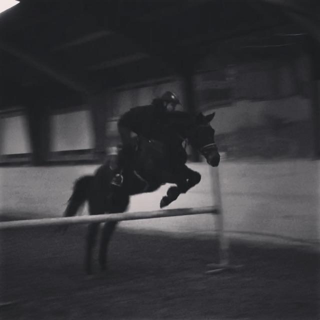 Anden særlig race Nanna Zickora billede 11