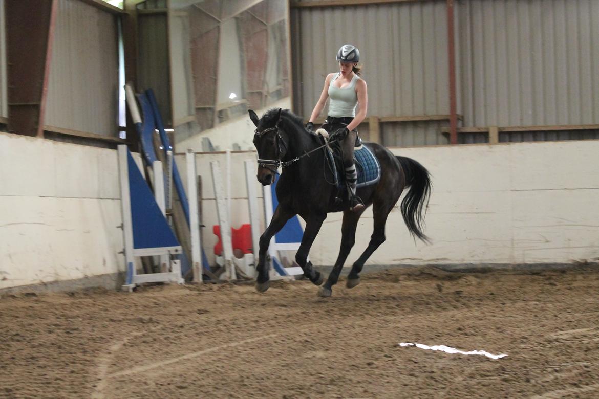 Anden særlig race Nanna Zickora billede 14