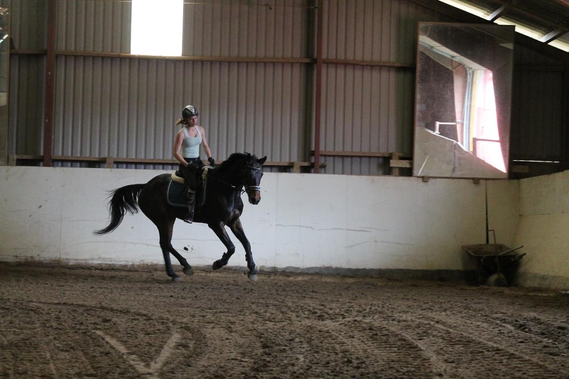 Anden særlig race Nanna Zickora billede 15