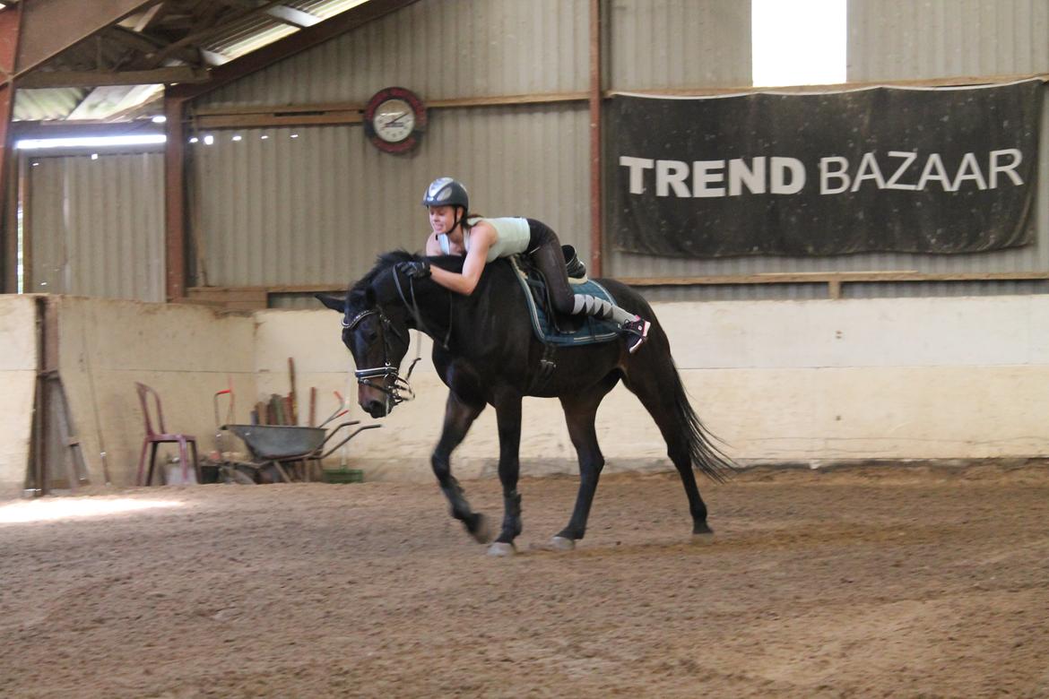 Anden særlig race Nanna Zickora billede 13