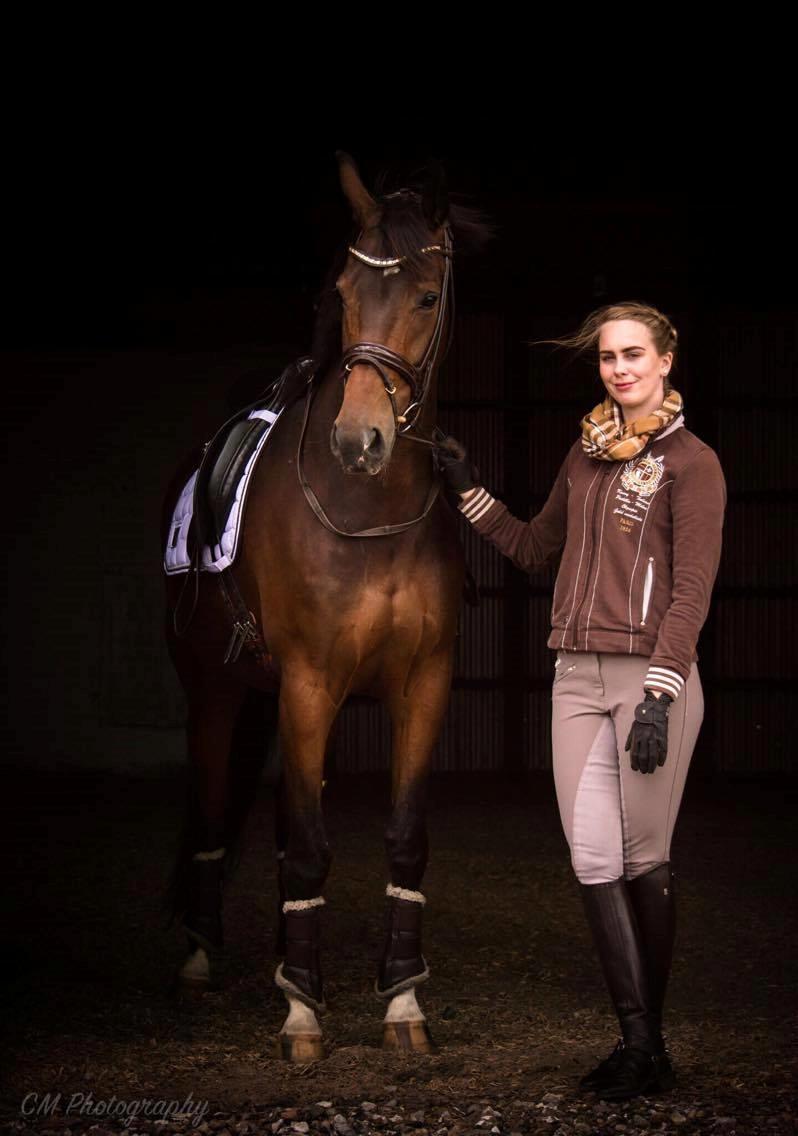 Dansk Varmblod Demi af Hedensminde billede 6