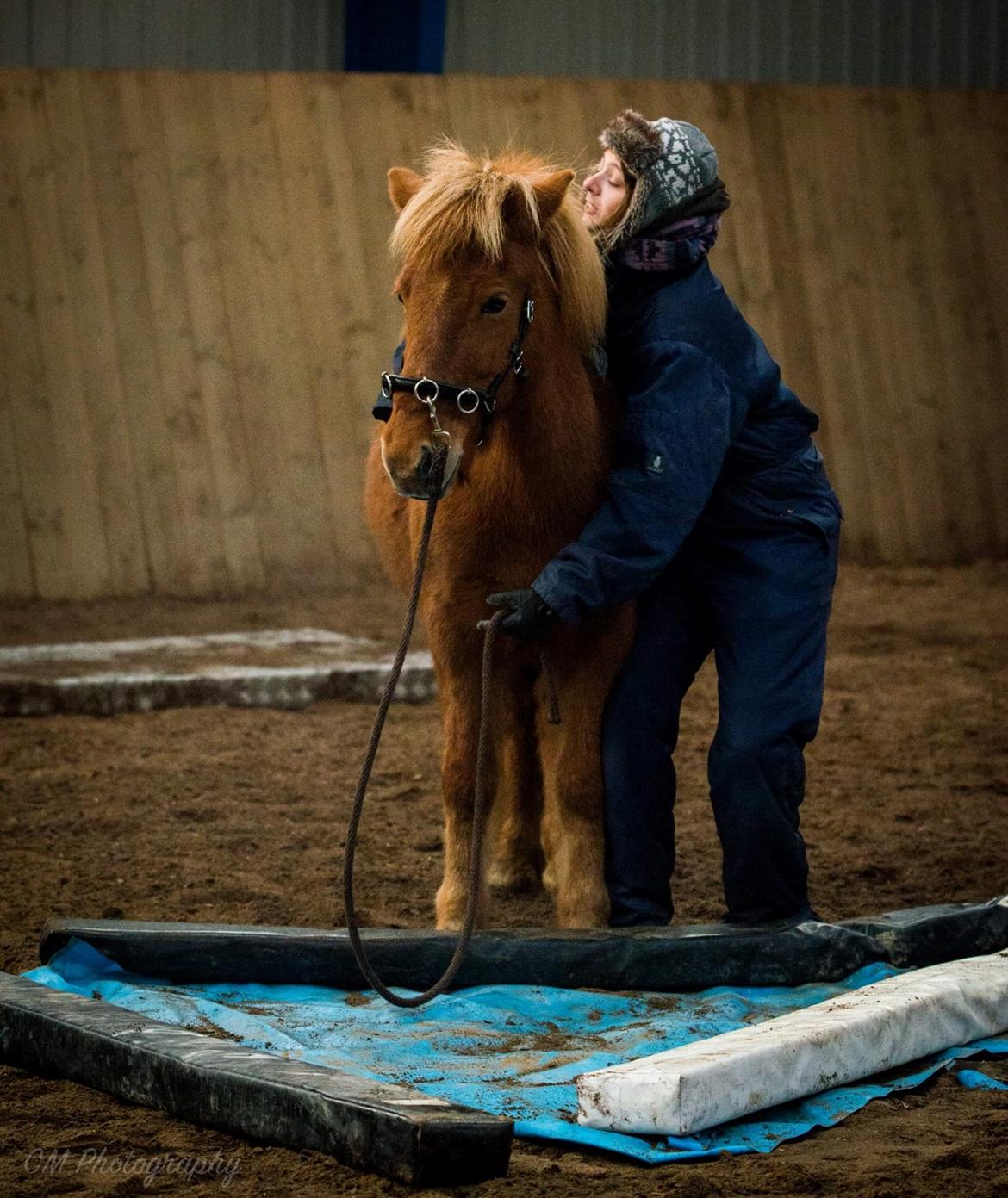 Islænder Röskva fra Dejbjerg - 12.11 2016 Röskvas 1. tur på rigtige forhindringer - Min seje pony-pige billede 4