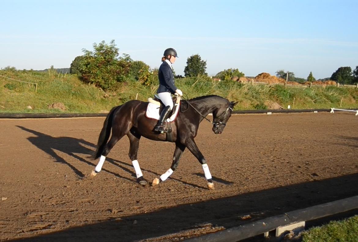 Oldenborg Sandokan Star billede 6