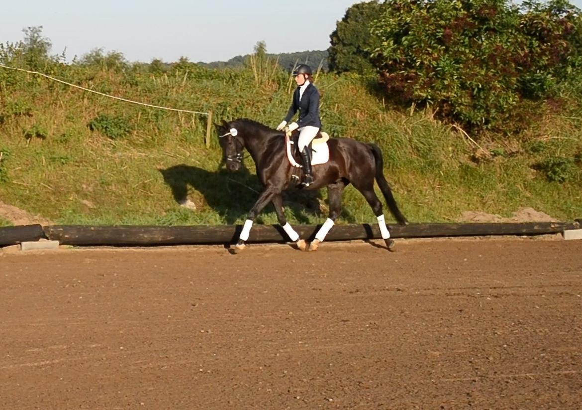 Oldenborg Sandokan Star billede 2