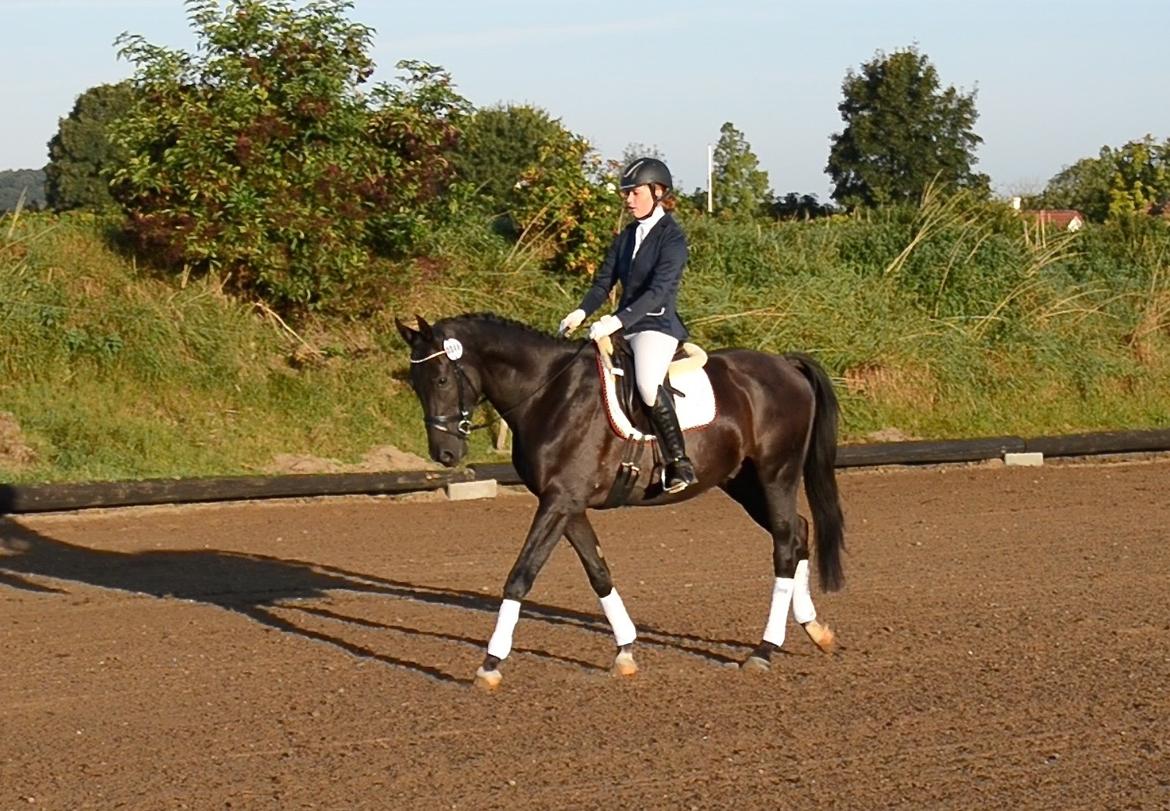 Oldenborg Sandokan Star billede 7