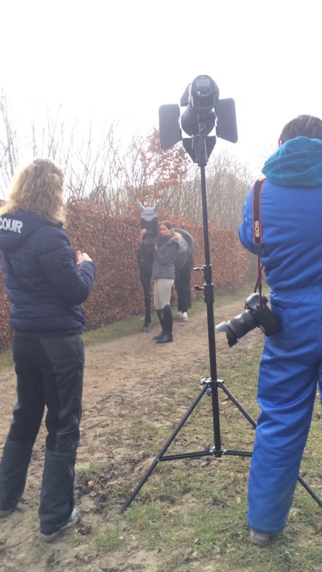 Dansk Varmblod Drisdal's Flying Thyson - Thyson som model for Scan-Horse efterårs kollektion 2016 billede 10