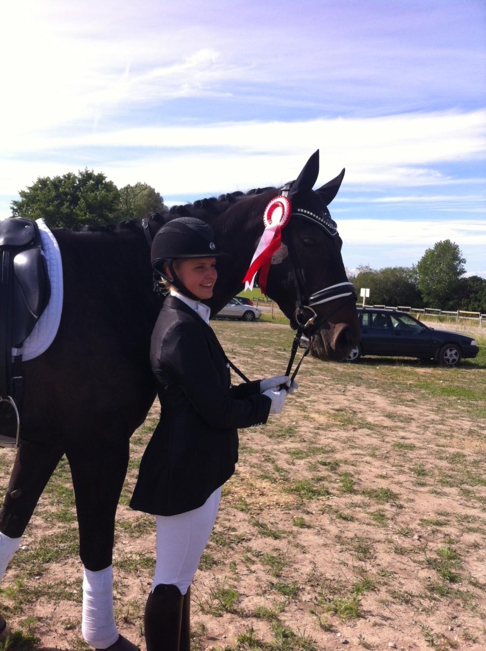 Dansk Varmblod Drisdal's Flying Thyson billede 20