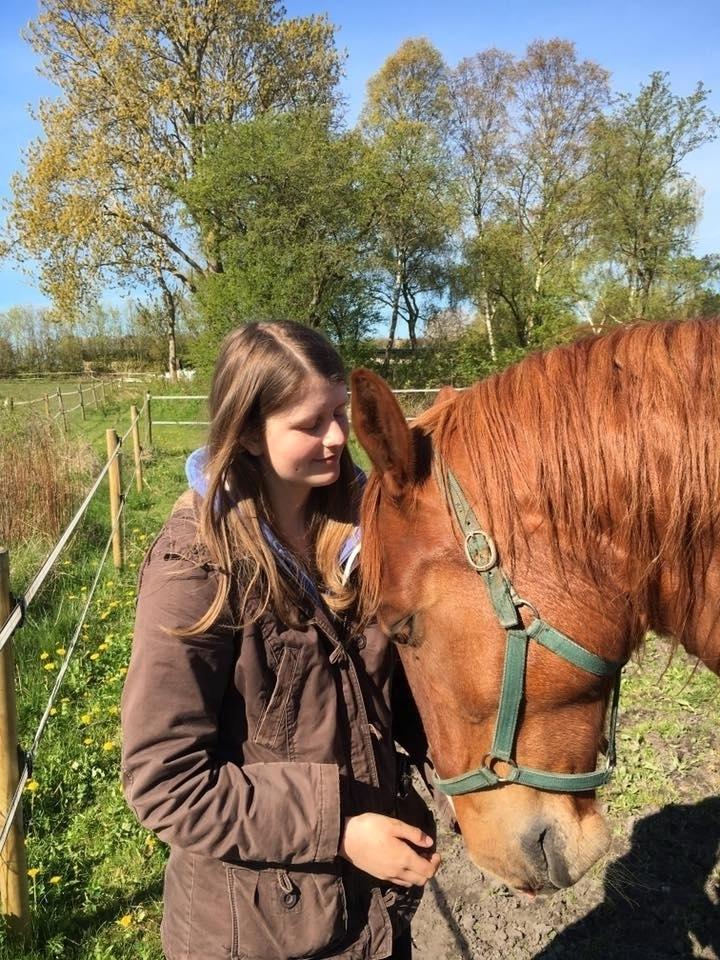 Frederiksborg Aslan - 2. Dag jeg havde haft ham  billede 8
