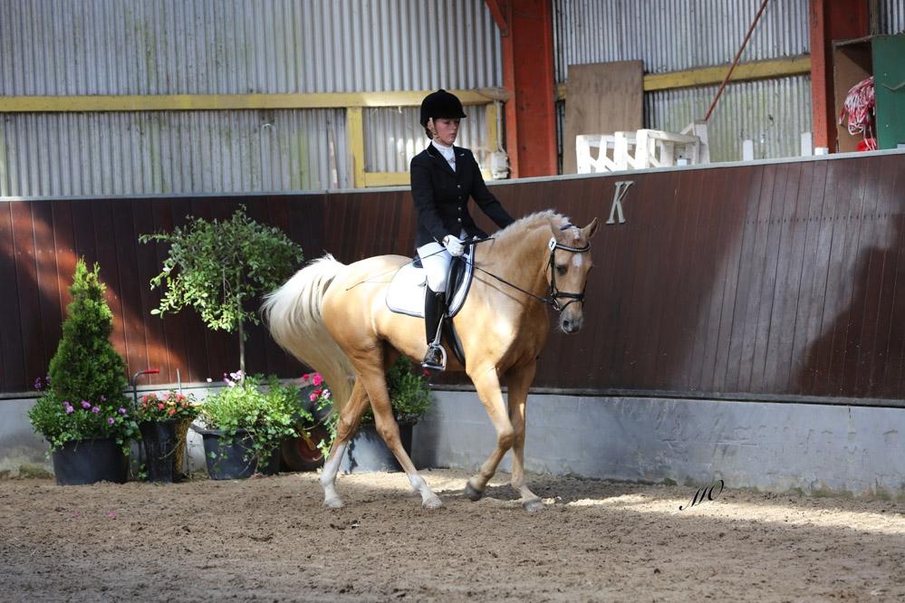 Palomino Hedegaards California Blue billede 16