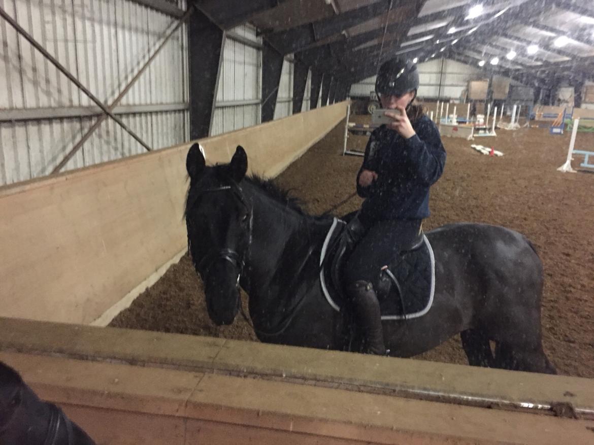 Oldenborg Sandokan Star billede 11