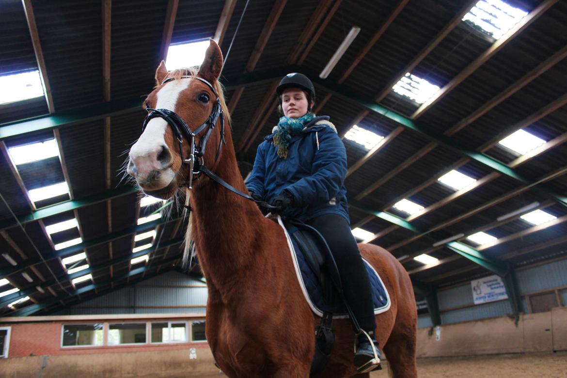 Anden særlig race Salshøjs Malou billede 21