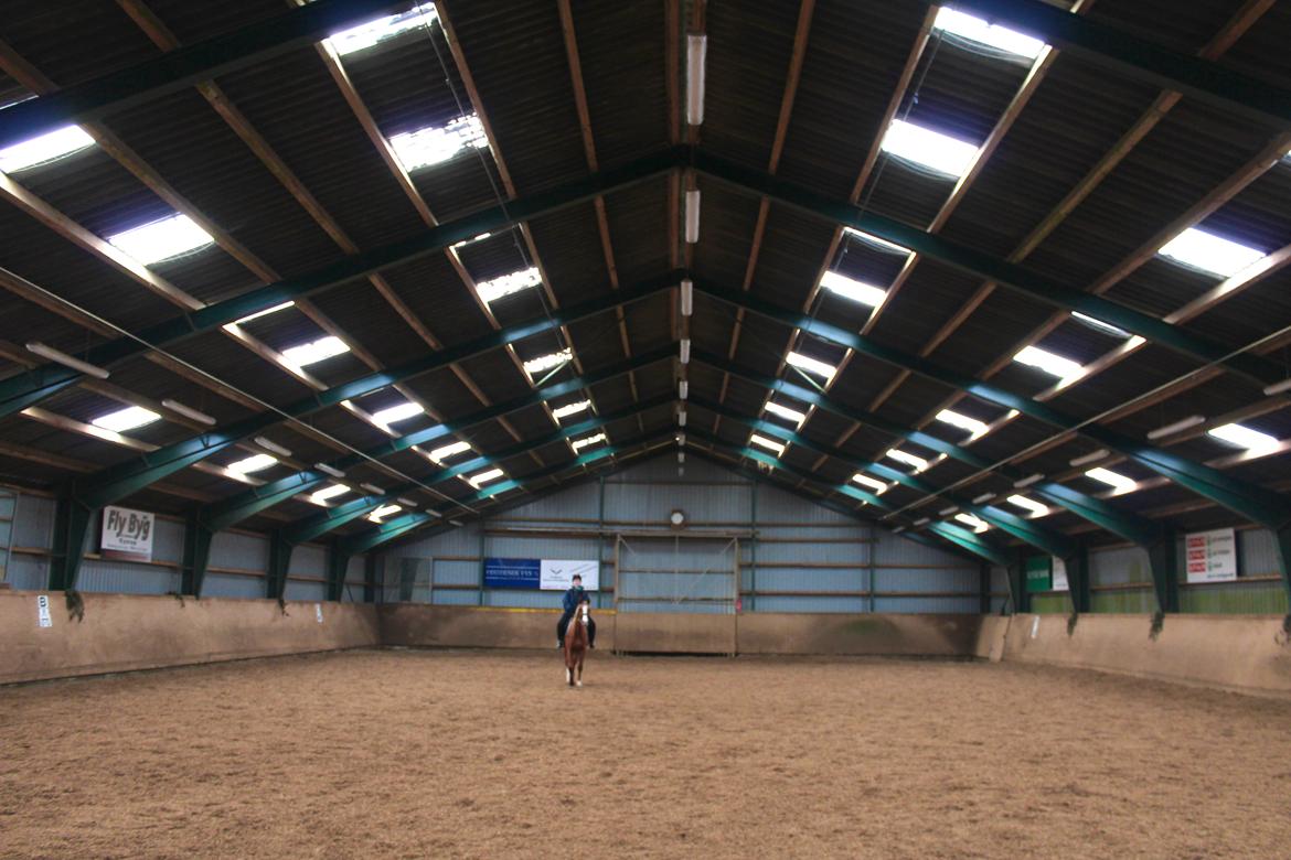 Anden særlig race Salshøjs Malou billede 38