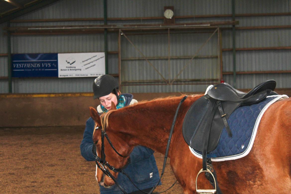Anden særlig race Salshøjs Malou billede 12