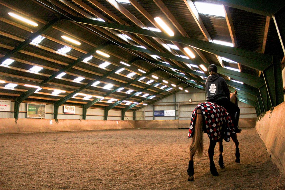 Anden særlig race Salshøjs Malou billede 2