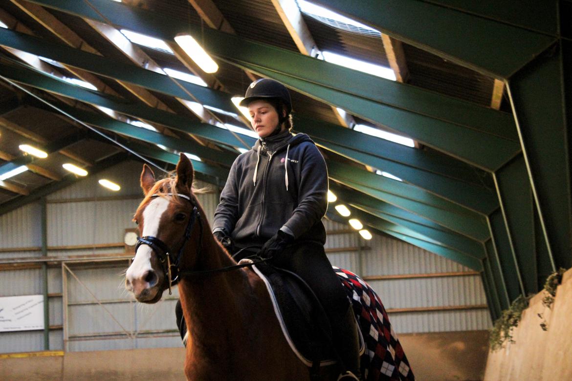 Anden særlig race Salshøjs Malou billede 7