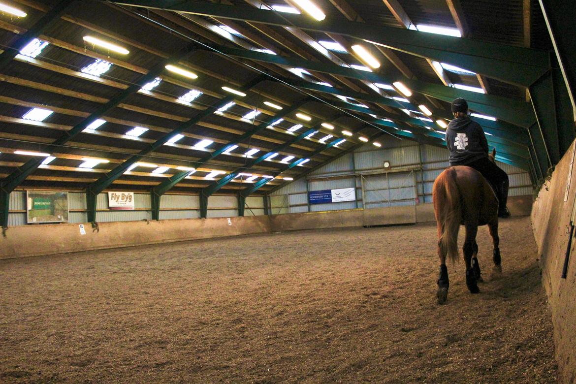 Anden særlig race Salshøjs Malou billede 34