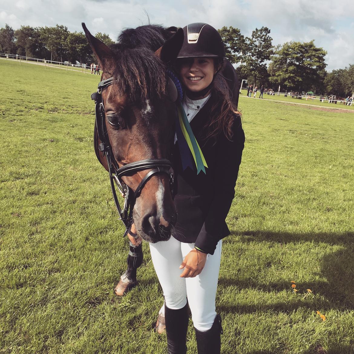 Holstener Braveheart billede 18