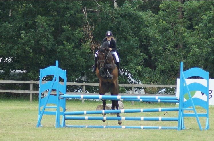 Holstener Braveheart billede 16