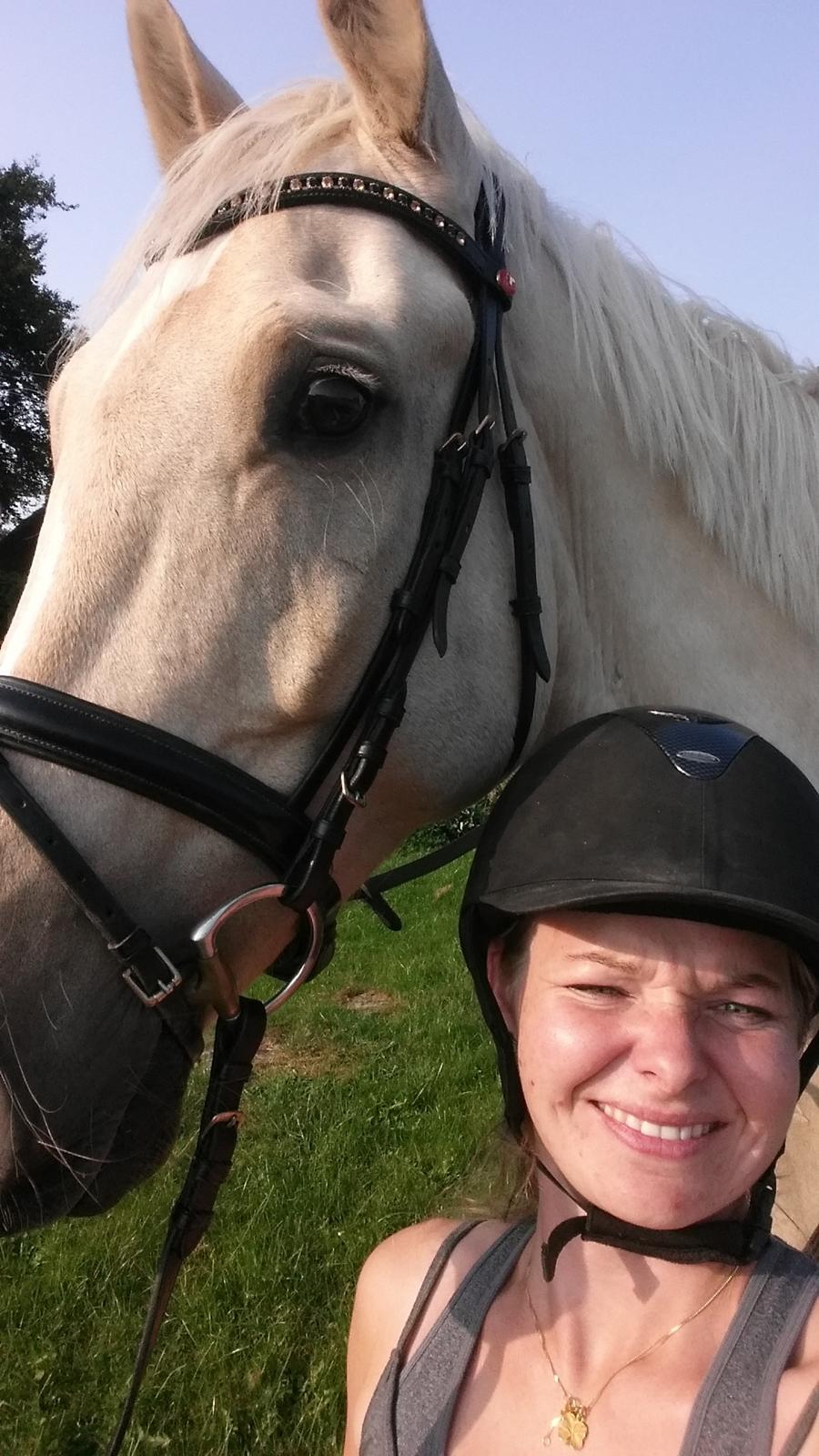 Palomino Rahbæks Noble Cortino R.I.P billede 18