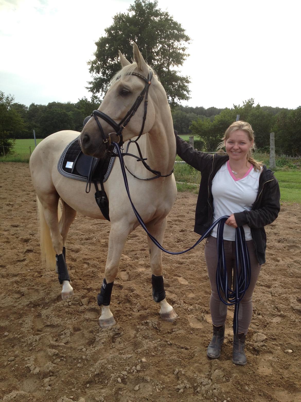 Palomino Rahbæks Noble Cortino R.I.P billede 19