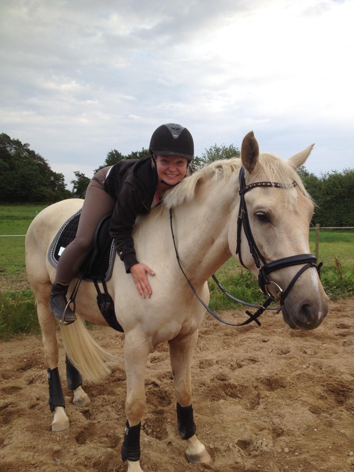 Palomino Rahbæks Noble Cortino R.I.P billede 1