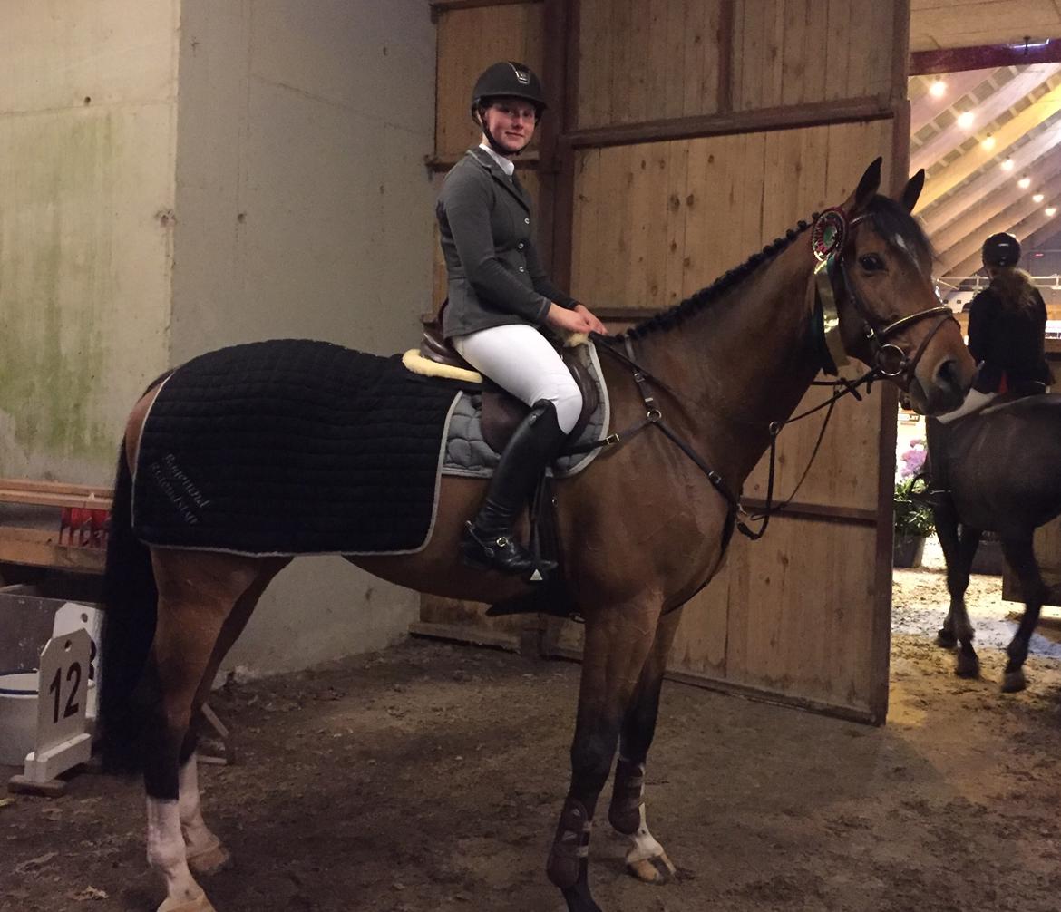 Anden særlig race Contador - Christmas Show Warm Up 17 plads i LB** billede 2