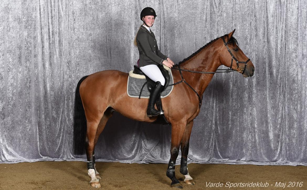 Anden særlig race Contador billede 5