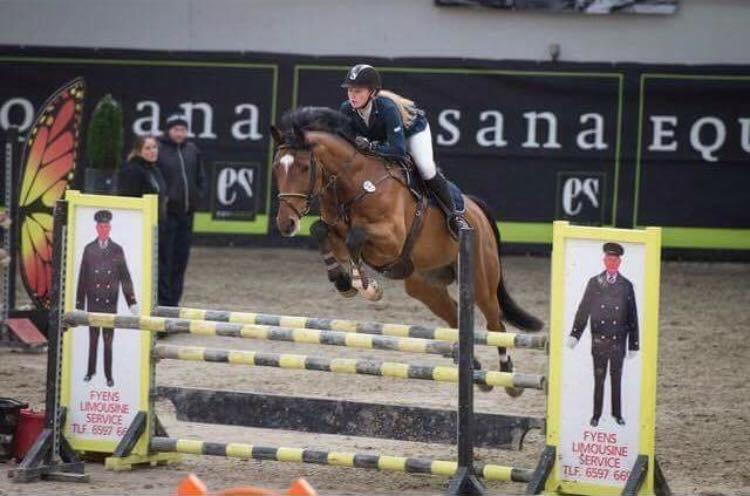 Anden særlig race Contador - Fredericia LA* billede 9