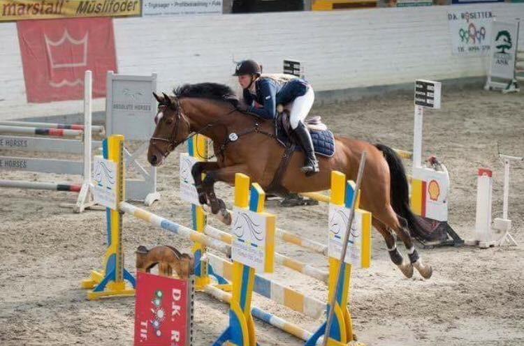 Anden særlig race Contador - Fredericia LA* billede 11