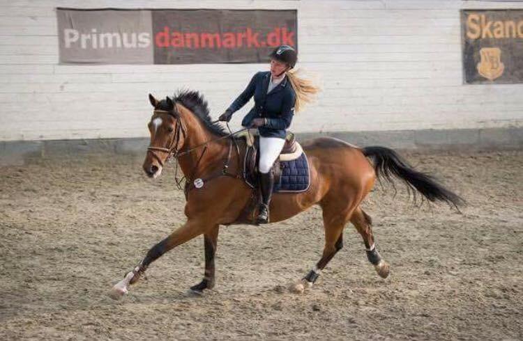 Anden særlig race Contador billede 12