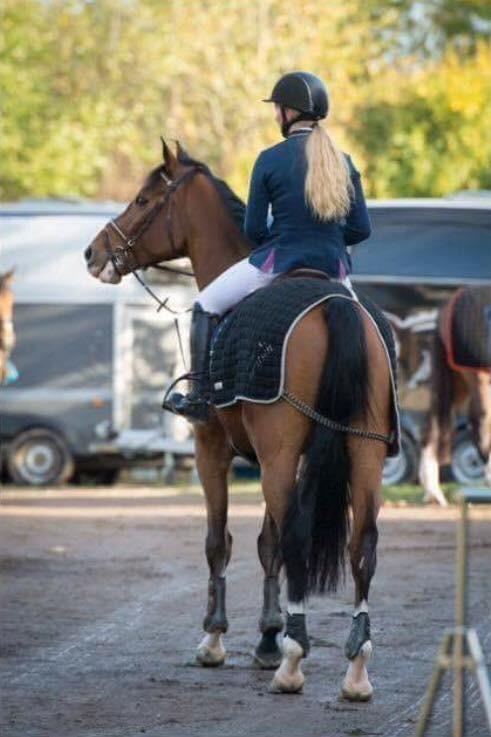 Anden særlig race Contador billede 10